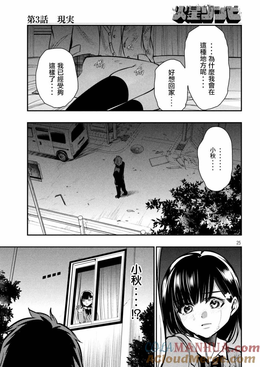 第25页