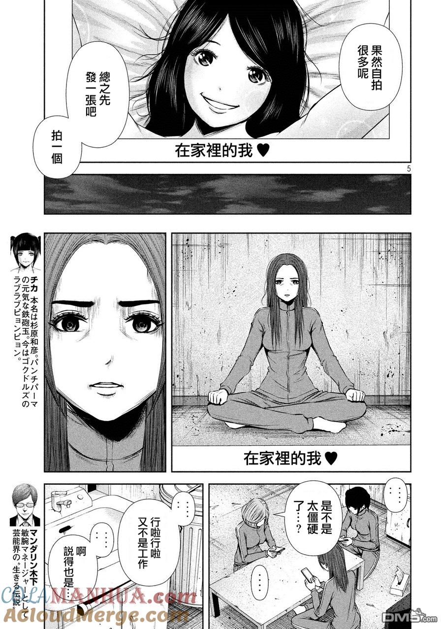 第5页