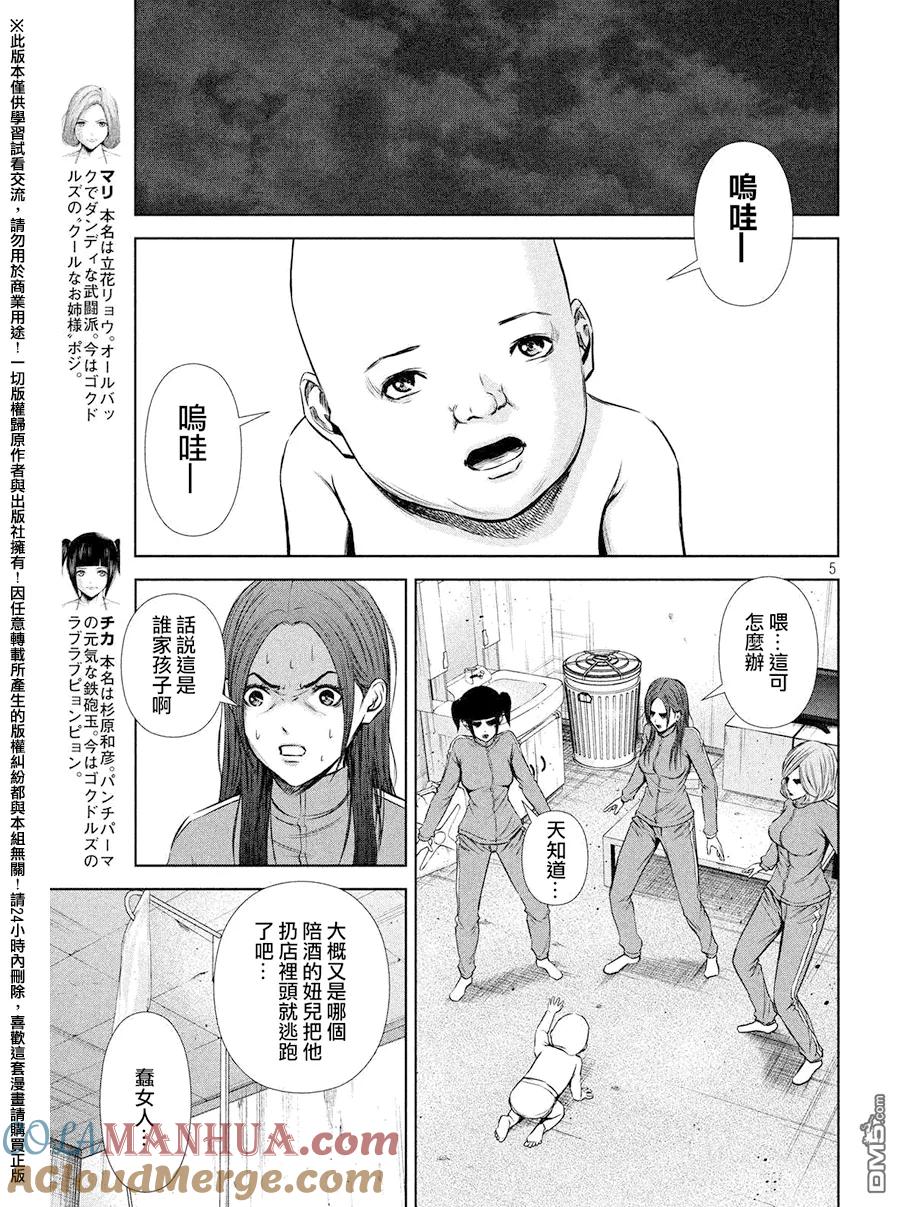 第5页