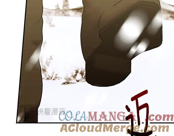 第229页