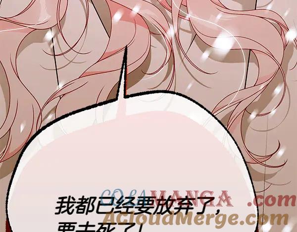 第245页