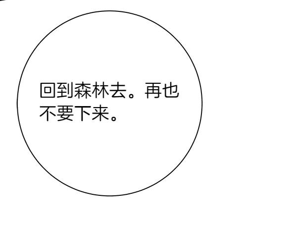 第256页