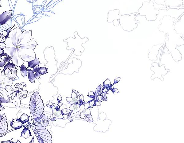 第260页