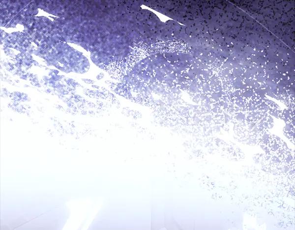 第239页