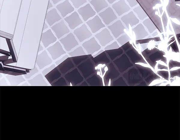 第242页