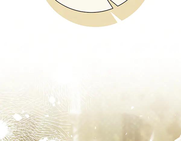 第223页