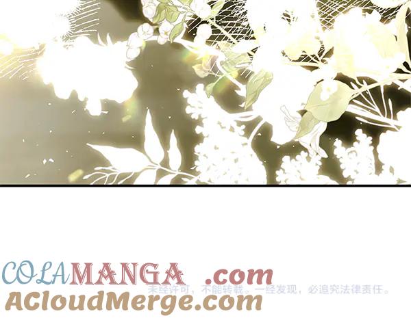 第229页