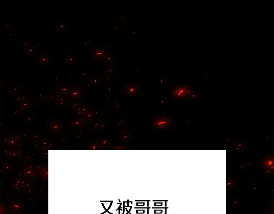 第223页