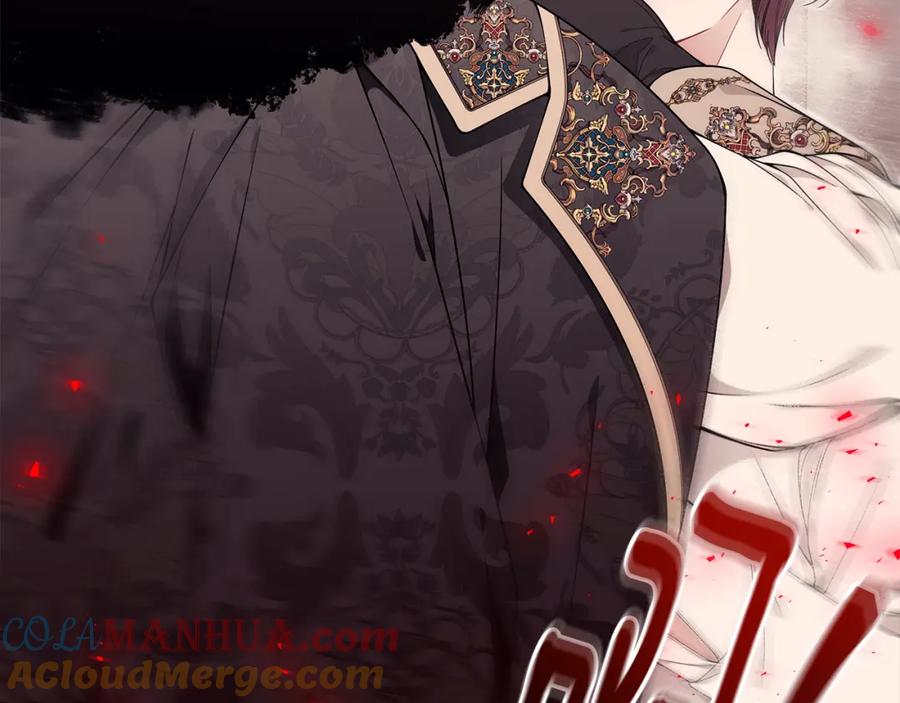 第215页