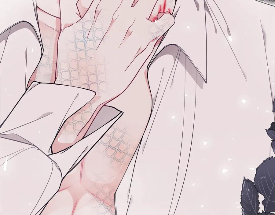 第235页