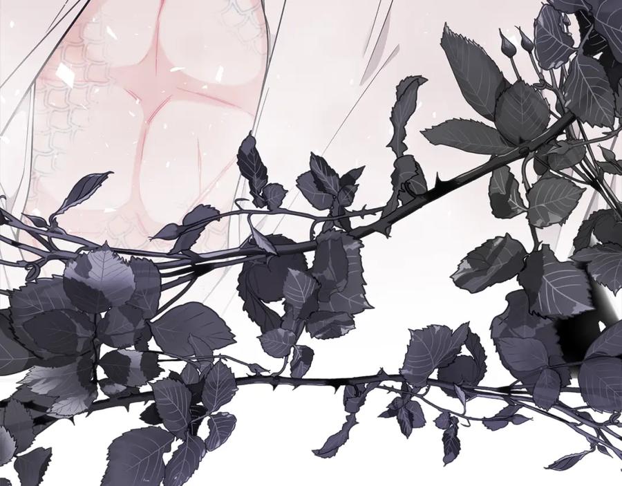 第236页