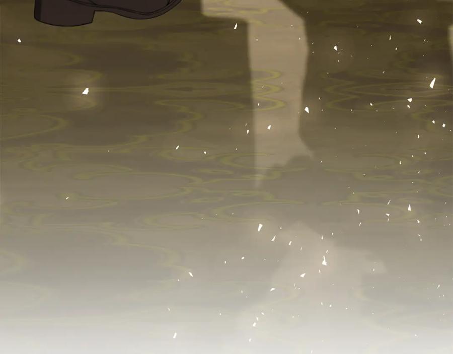 第238页