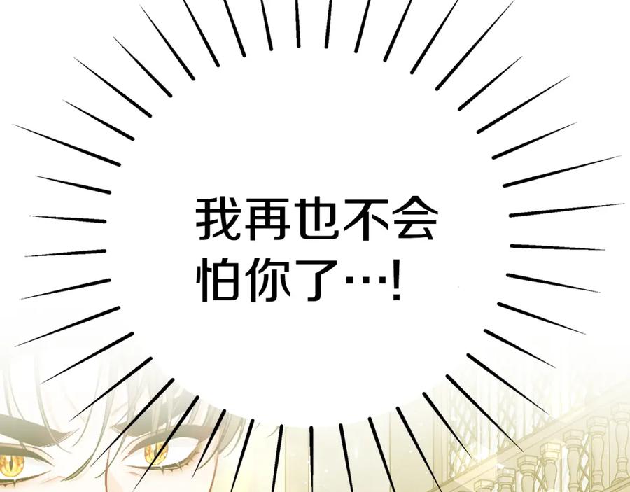 第247页