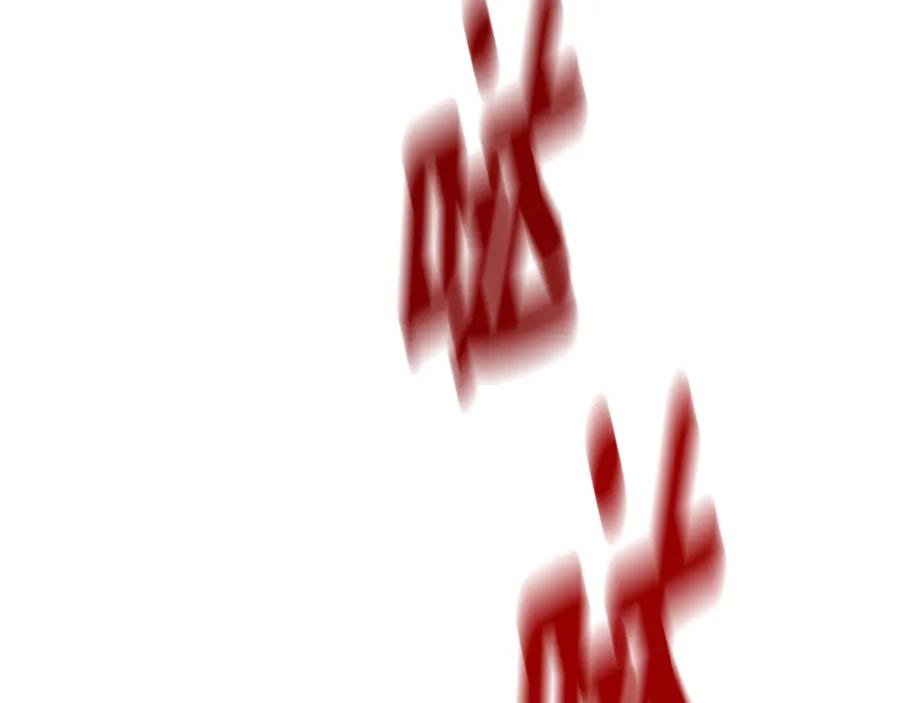 第123页