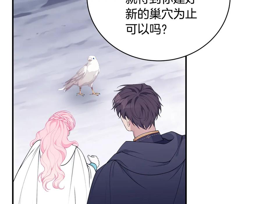第194页