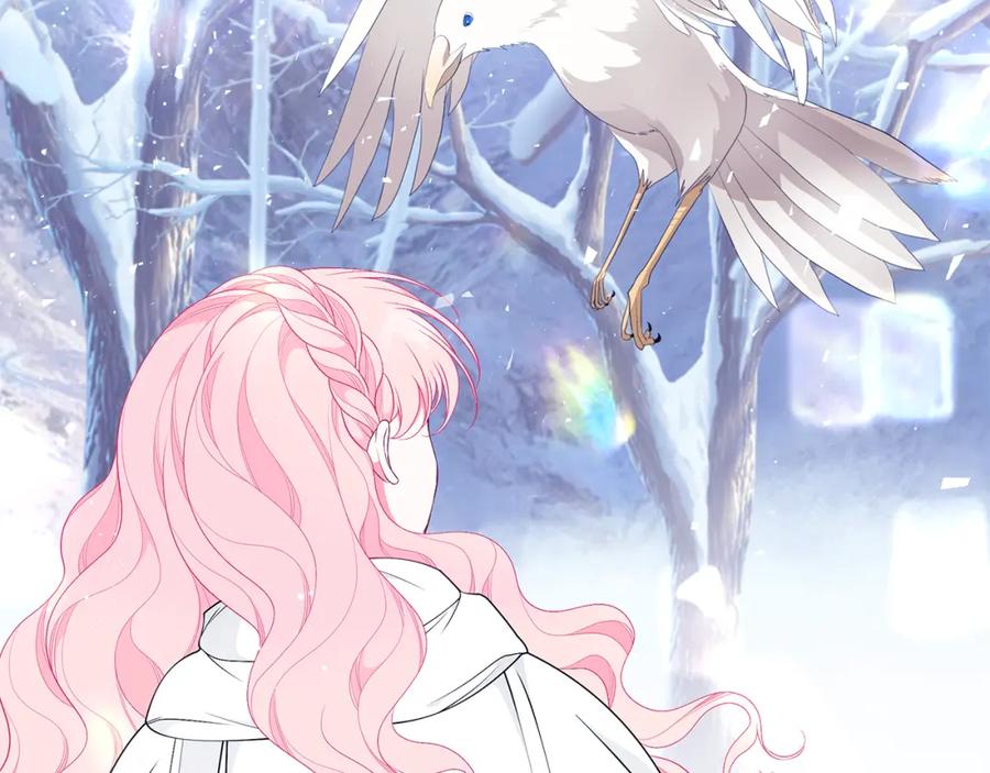 第216页