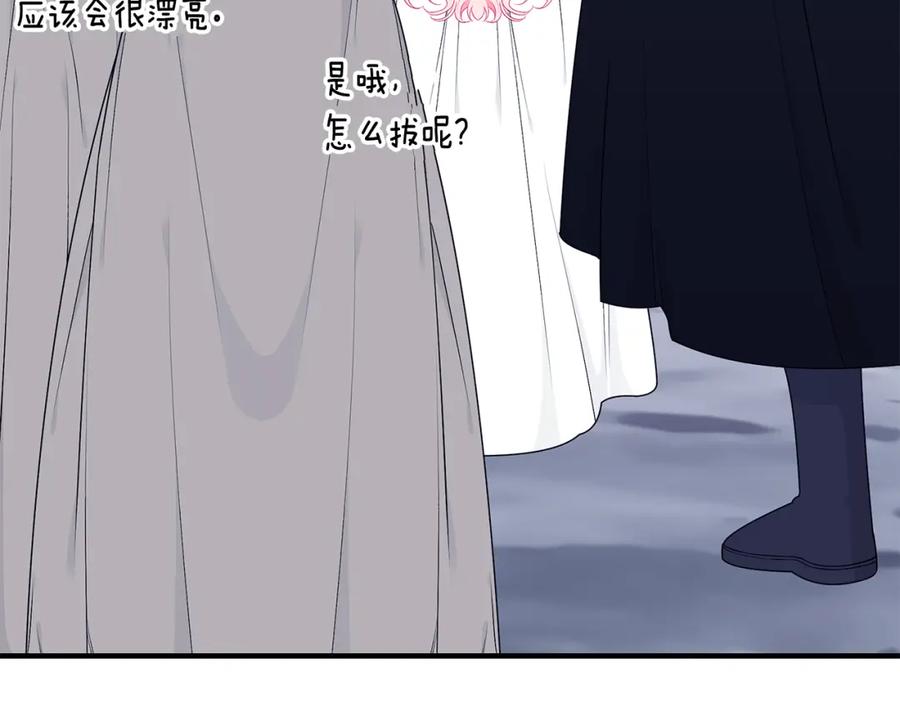 第223页