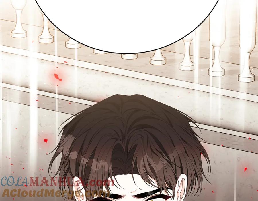 第205页