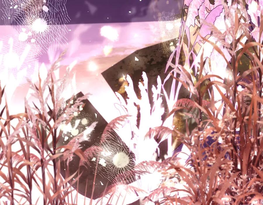 第211页