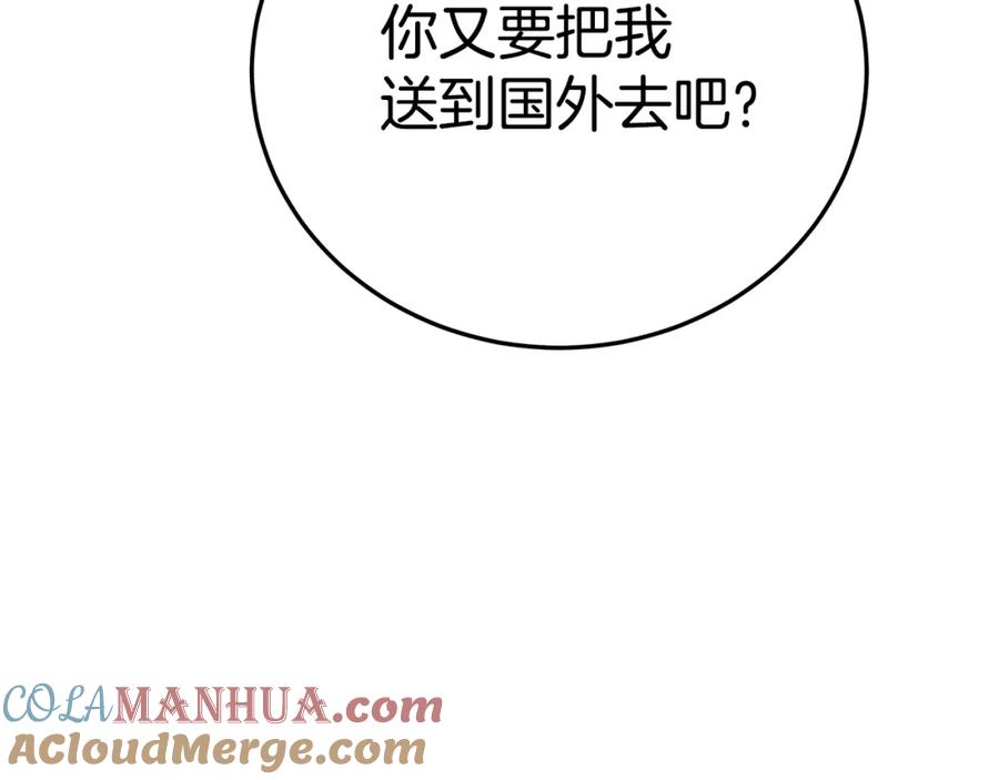 第221页