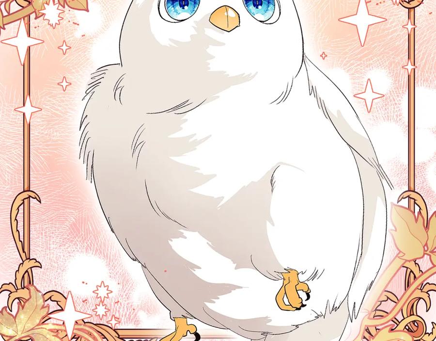第202页