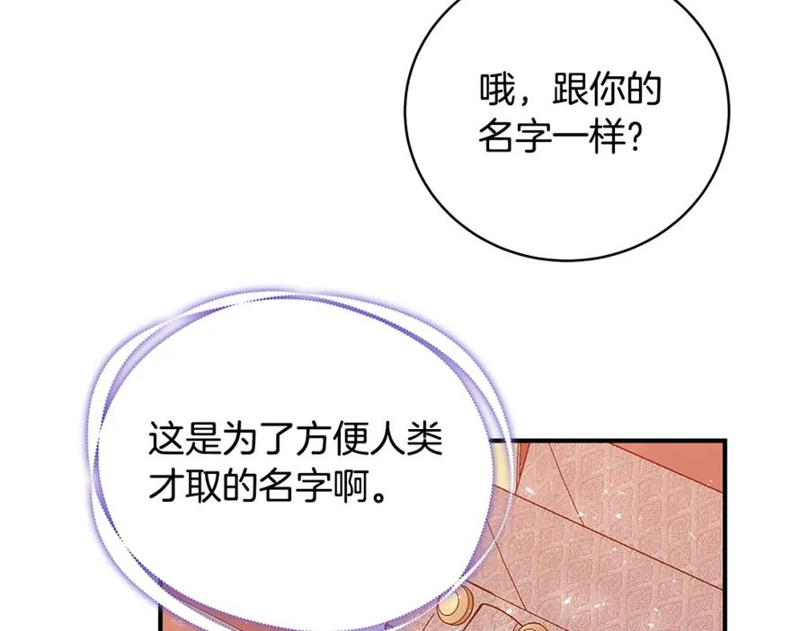 第211页