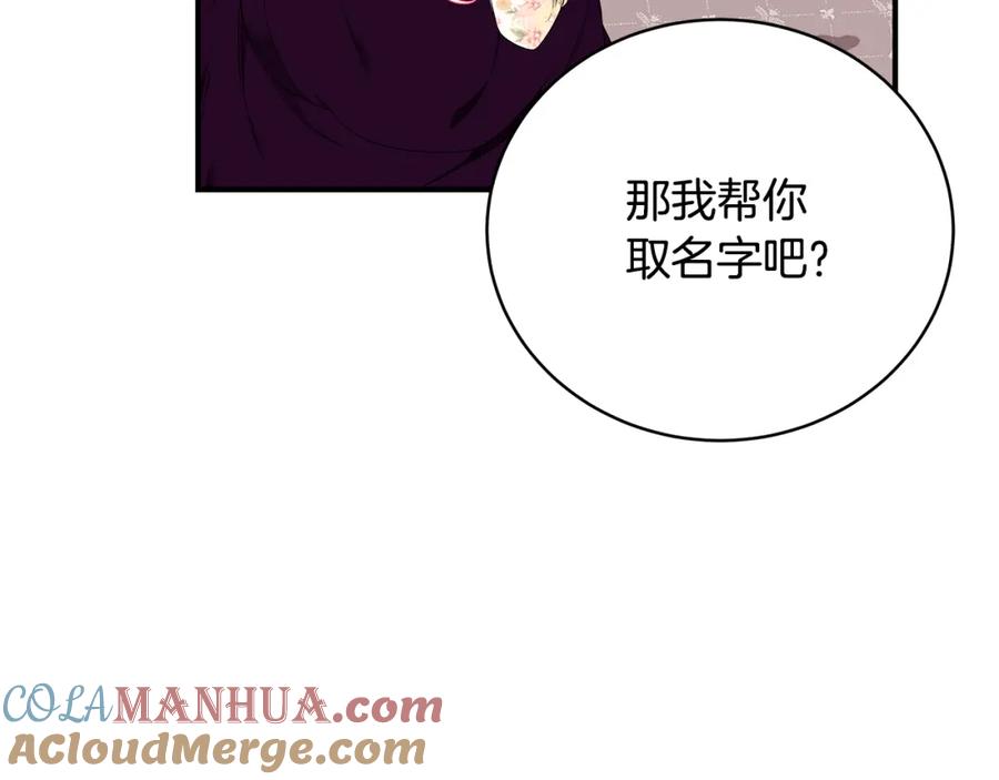 第213页