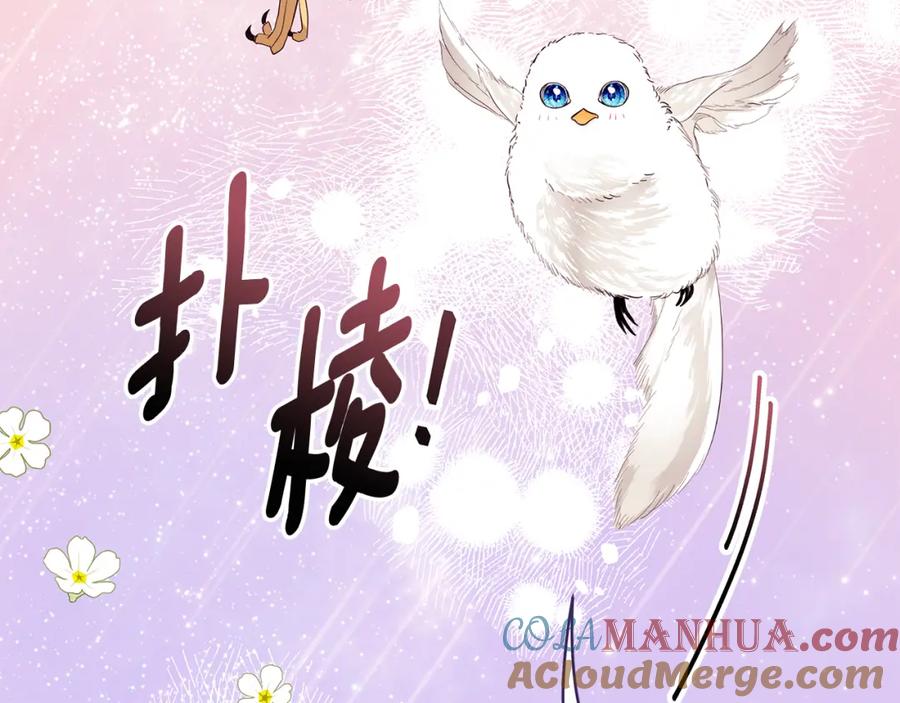 第221页