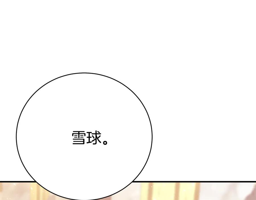 第223页