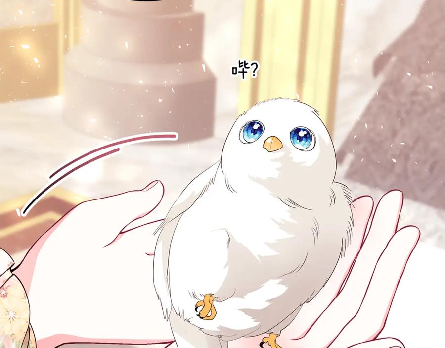 第224页