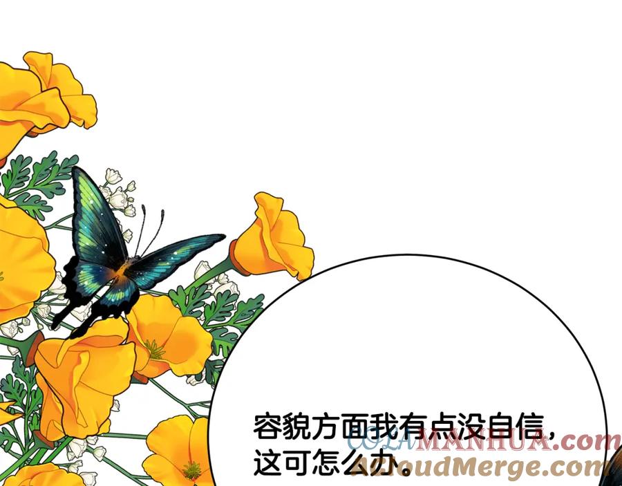 第241页