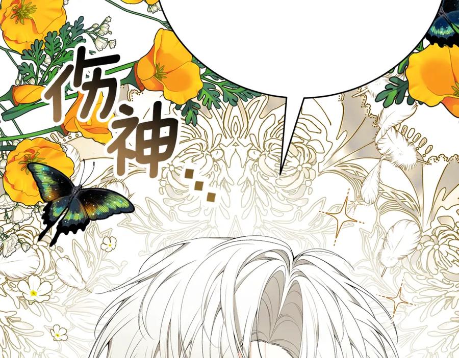 第242页