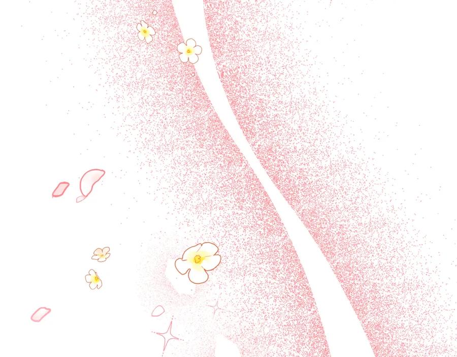 第255页