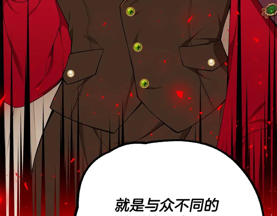 第255页