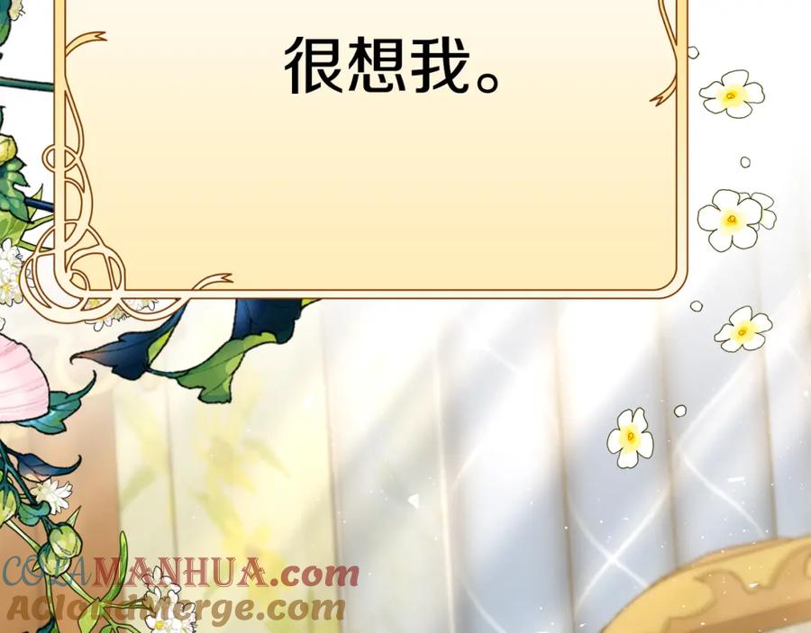 第237页