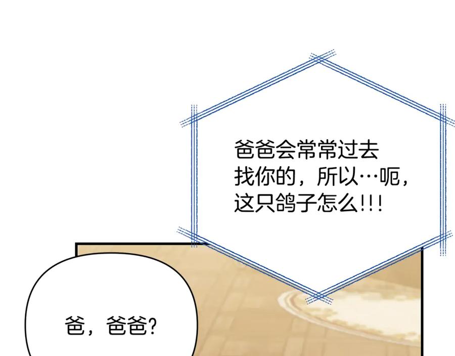 第194页