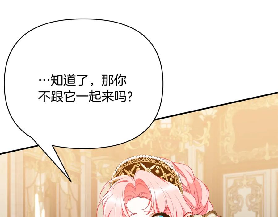 第223页