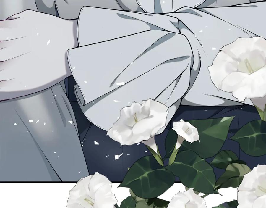第276页