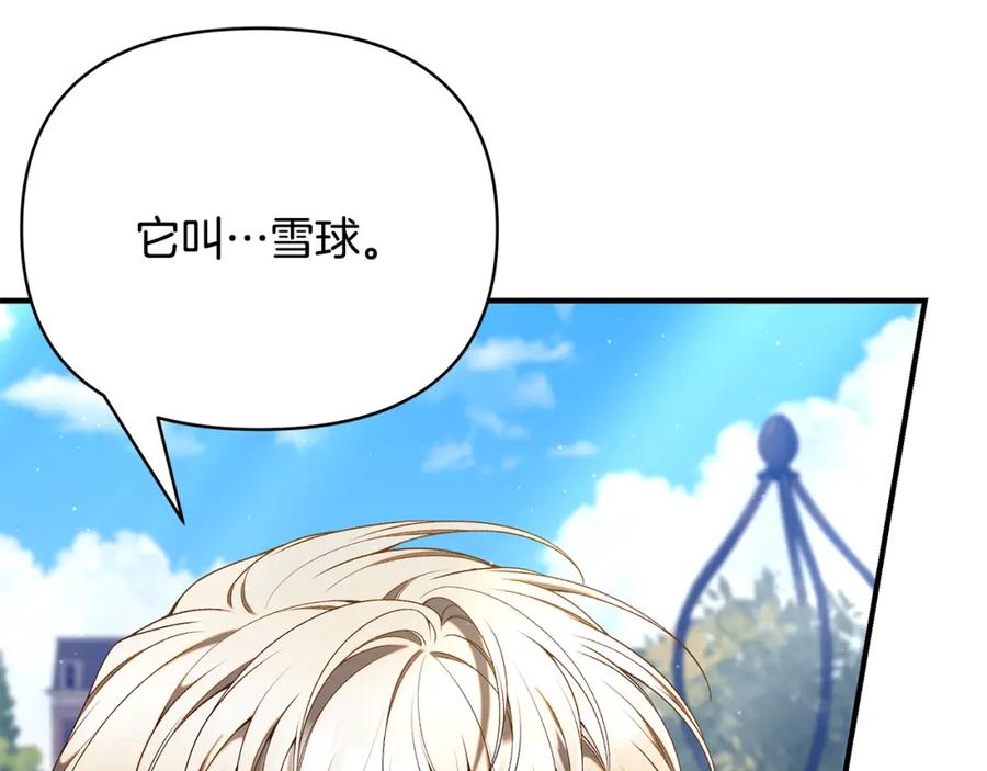 第234页