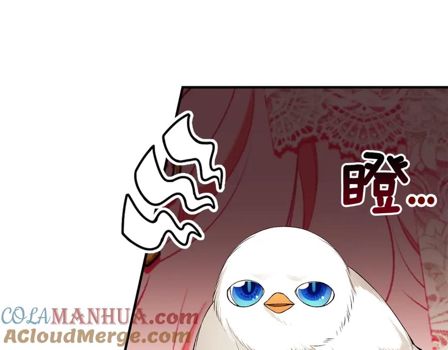 第237页