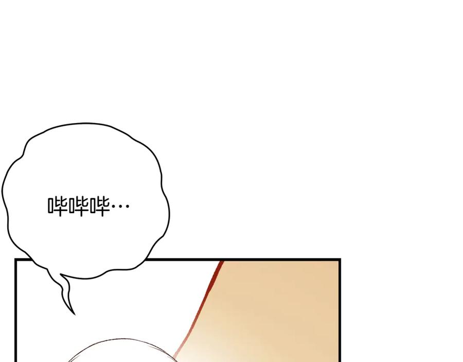 第242页
