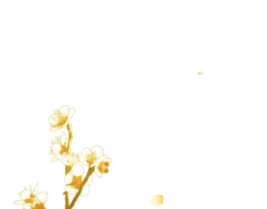 第282页