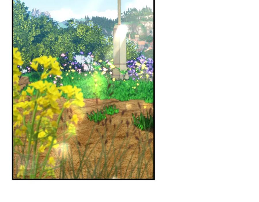 第258页