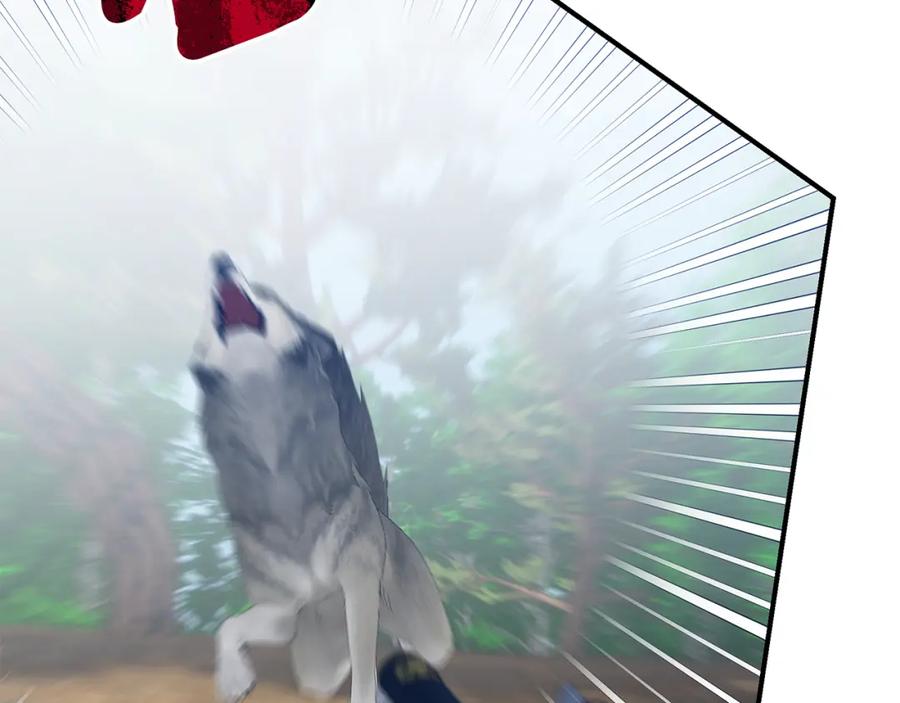 第203页