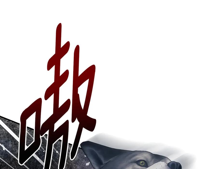 第215页