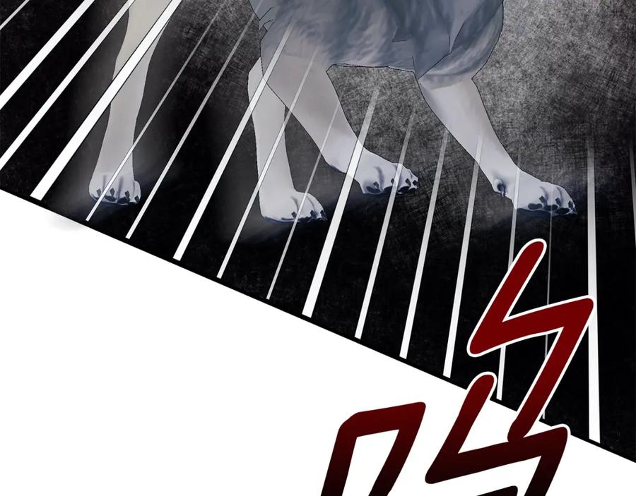 第218页