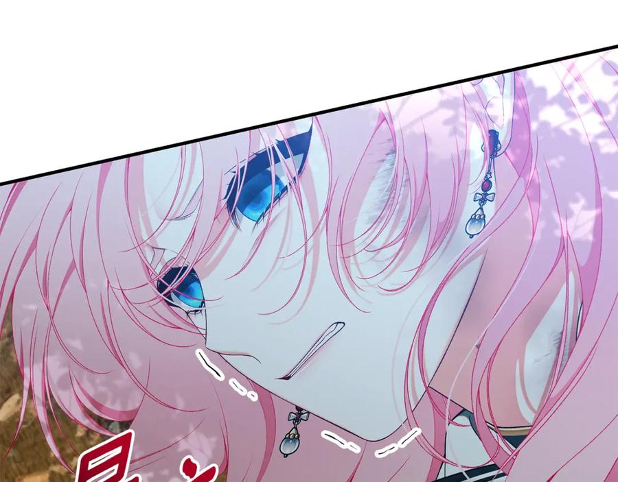 第243页