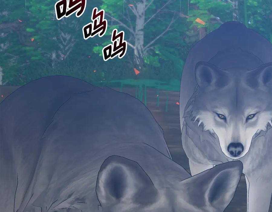第250页