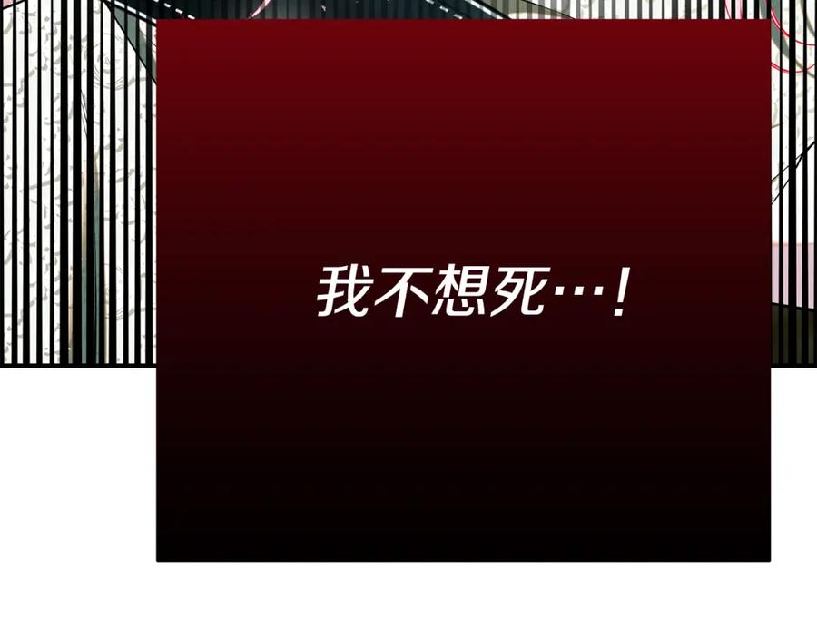第254页