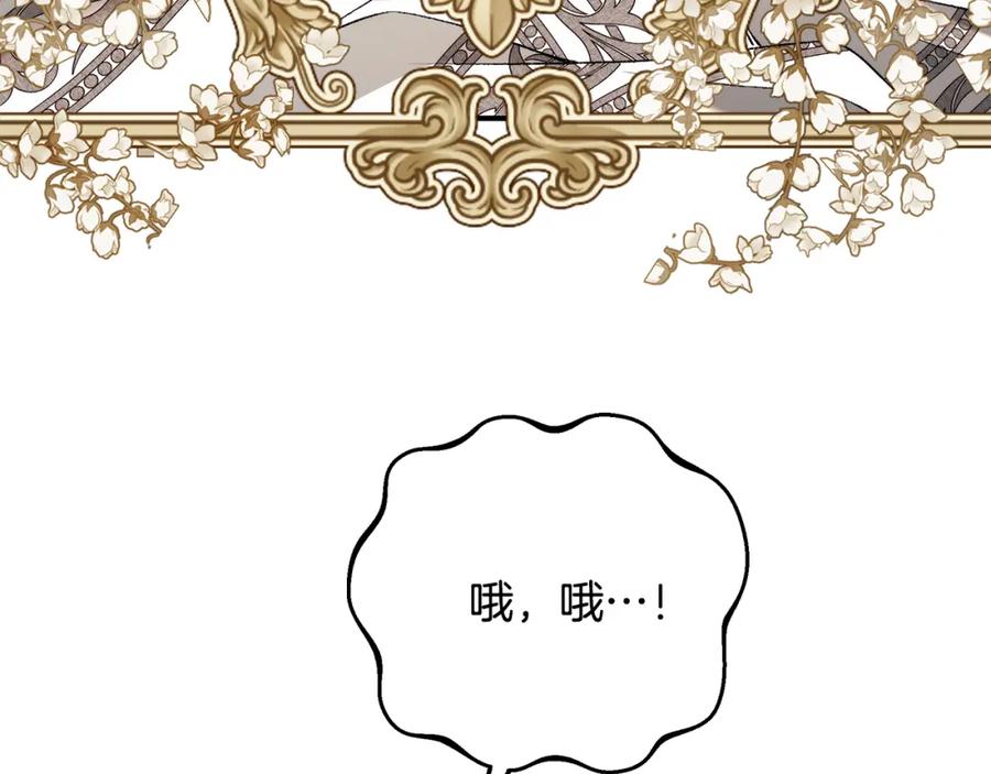 第243页